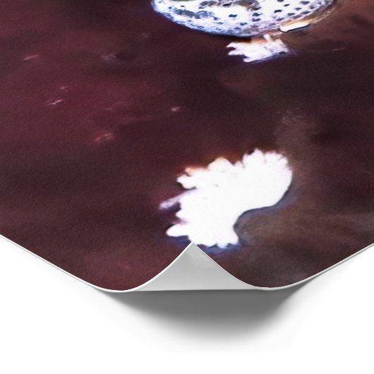 Grubfish Portret Poster (Hoek)