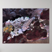 Grubfish Portret Poster (Voorkant)