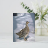 Gruitbruine bruinkoolbrij briefkaart (Staand voorkant)