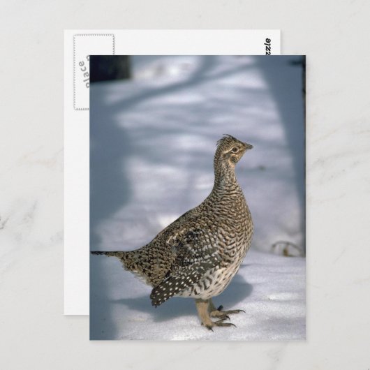 Gruitbruine bruinkoolbrij briefkaart (Voorkant / Achterkant)