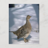 Gruitbruine bruinkoolbrij briefkaart (Voorkant)