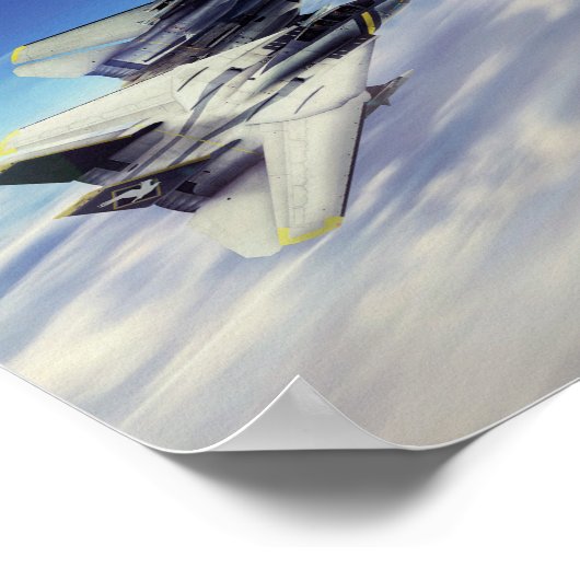 Grumman F-14 Tomcat poster (Hoek)
