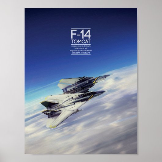 Grumman F-14 Tomcat poster (Voorkant)