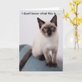 Grumoffy kat op een grappige verjaardagskaart kaart (Gele Bloem)