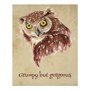 Grump Minimalistische Waterverf Print Art Owl Love Perfect Poster