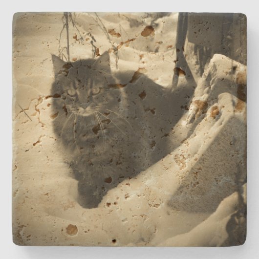 Grumpy Angel Cat in de sneeuw Stenen Onderzetter (Voorkant)