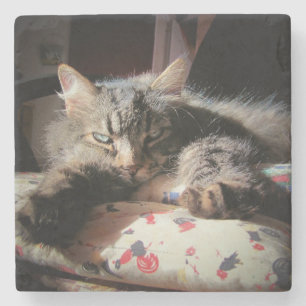 Grumpy Angel Cat is verdacht Stenen Onderzetter