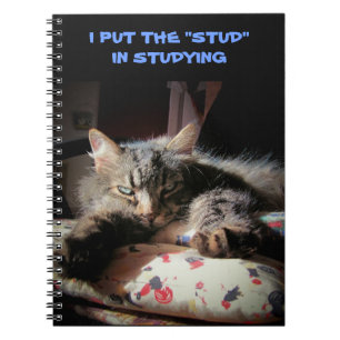 Grumpy Angel: de studie in het studeren Notitieboek