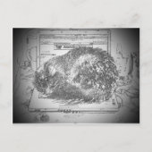 Grumpy Angel op een laptoplap kat? Briefkaart (Voorkant)