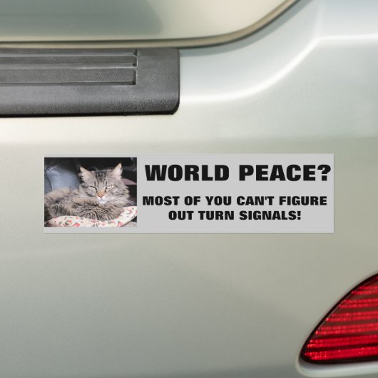 Grumpy Angel wil dat je je oogklep gebruikt Bumpersticker (Op auto)