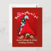 Grumpy baby sulcata schildpad in rood pet Vakantie Briefkaart (Voorkant / Achterkant)