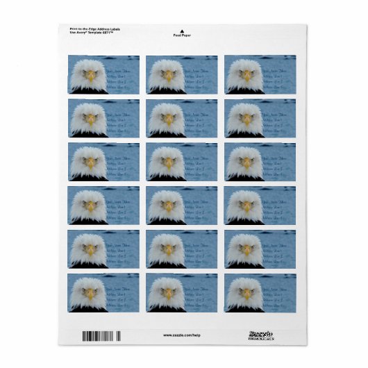 Grumpy Bald Eagle Etiket (Full Sheet)