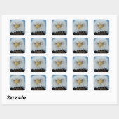 Grumpy Bald Eagle Vierkante Sticker (Vel)