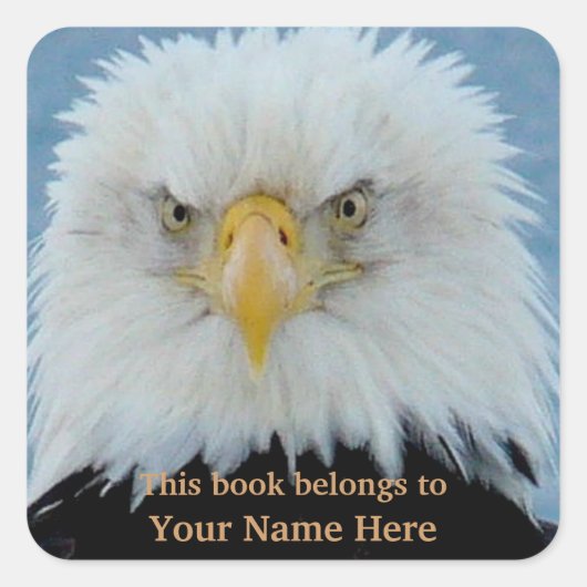 Grumpy Bald Eagle Vierkante Sticker (Voorkant)
