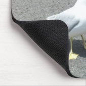 Grumpy Begger Seagull Animal Meme Muismat (Hoek)