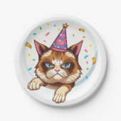 Grumpy Birthday Cat – Feest Pet & Confetti Papieren Bordje (Voorkant)