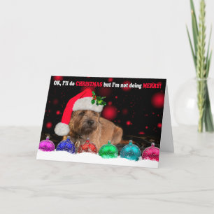 Grumpy Border Terrier Dog Wearing A Santa Hat, Wit Feestdagen Kaart