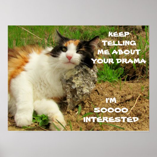 Grumpy Calico Cat Drama Sarcasm Poster (Voorkant)