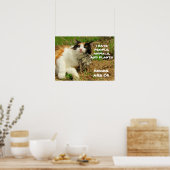 Grumpy Calico haat alles behalve Rocks Poster (Keuken)