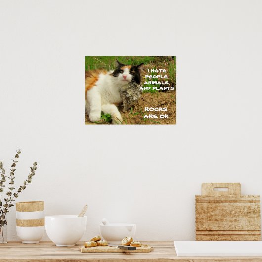 Grumpy Calico haat alles behalve Rocks Poster (Keuken)