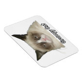 Grumpy Cat 3x4 flexibele magneet (Rechterzijde)