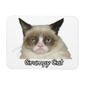 Grumpy Cat 3x4 flexibele magneet (Horizontaal)