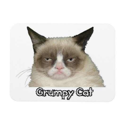Grumpy Cat 3x4 flexibele magneet (Horizontaal)