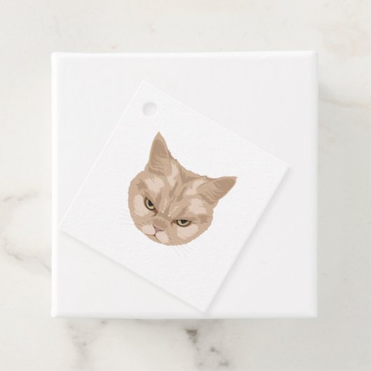 Grumpy Cat Bedankjes Labels (In situ)