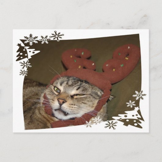 Grumpy Cat Christmas Briefkaart (Voorkant)