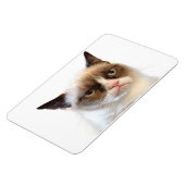 Grumpy Cat flexibele magneet (Linkerzijde)