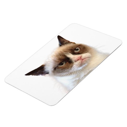 Grumpy Cat flexibele magneet (Linkerzijde)