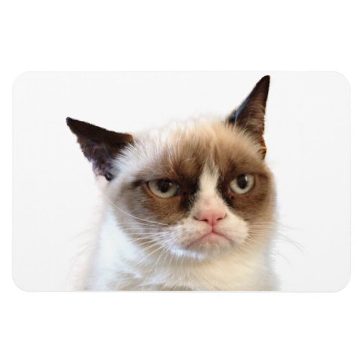 Grumpy Cat flexibele magneet (Horizontaal)