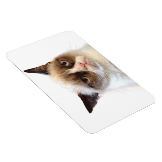 Grumpy Cat flexibele magneet (Rechterzijde)