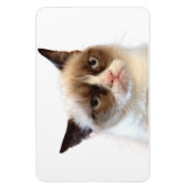 Grumpy Cat flexibele magneet (Verticaal)