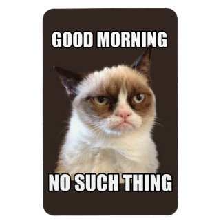 Grumpy Cat flexibele magneet