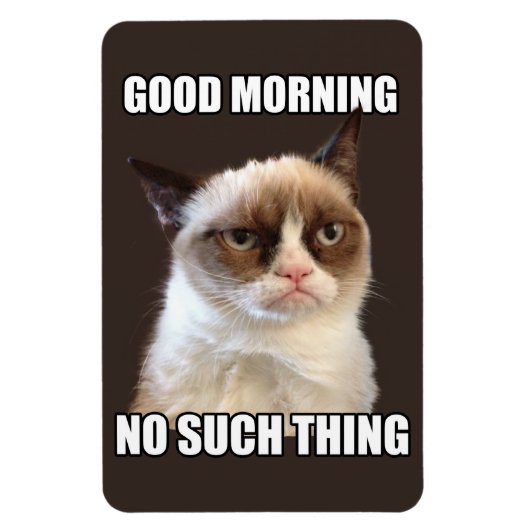 Grumpy Cat flexibele magneet (Verticaal)