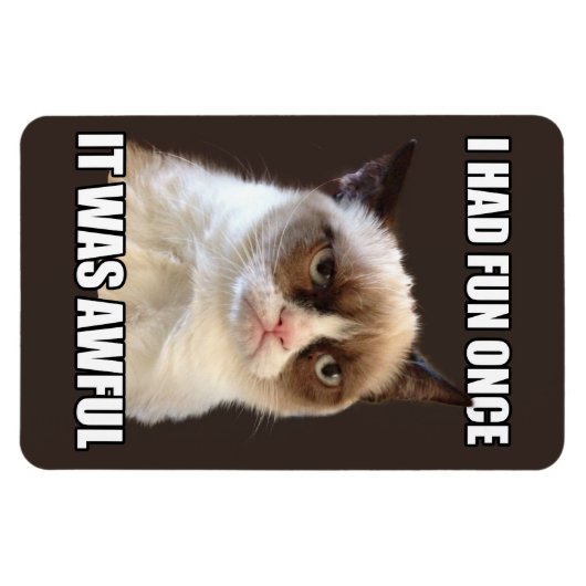 Grumpy Cat flexibele magneet (Horizontaal)