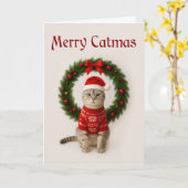 Grumpy Cat Folded Christmas Card Kaart (Gele Bloem)