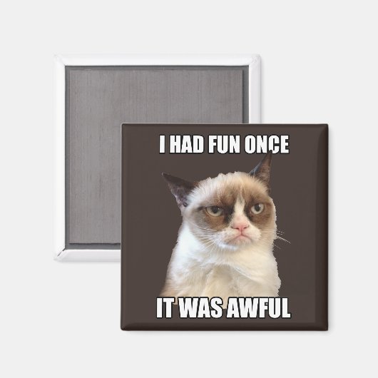Grumpy Cat - Ik had ooit plezier Magneet (Voorkant / Achterkant)