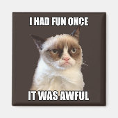 Grumpy Cat - Ik had ooit plezier Magneet (Voorkant)