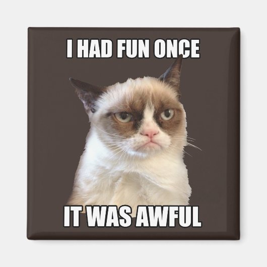 Grumpy Cat - Ik had ooit plezier Magneet (Voorkant)
