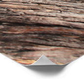 Grumpy Cat™ in een Poster met bomen (Hoek)