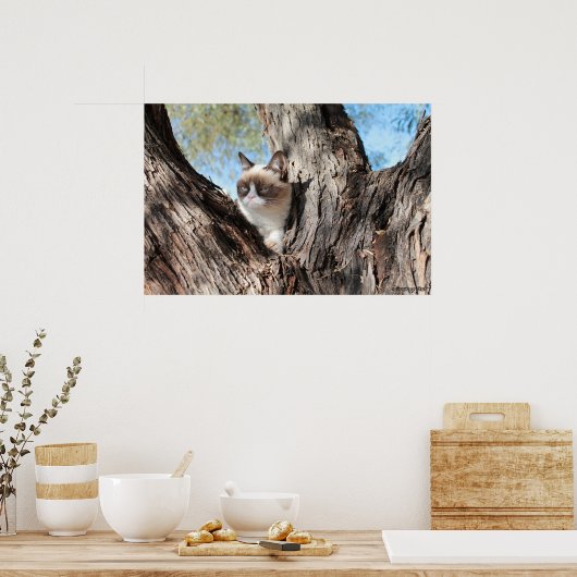 Grumpy Cat™ in een Poster met bomen (Keuken)