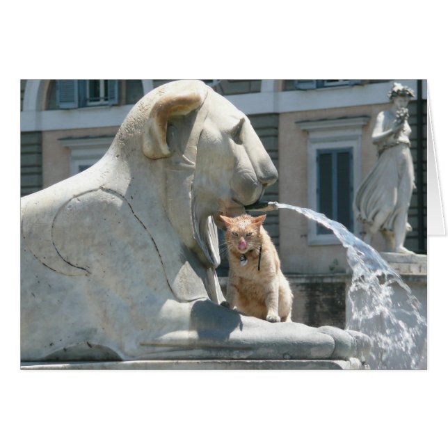 Grumpy Cat in Rome, fontein in Piazza (Voorkant Horizontaal)