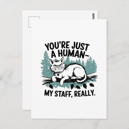 Grumpy Cat: "Je bent gewoon een mens, mijn persone Briefkaart (Voorkant / Achterkant)