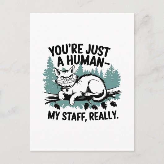 Grumpy Cat: "Je bent gewoon een mens, mijn persone Briefkaart (Voorkant)