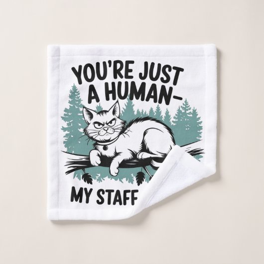 Grumpy Cat: "Je bent gewoon een mens, mijn persone Washandje (Wasdoekje)