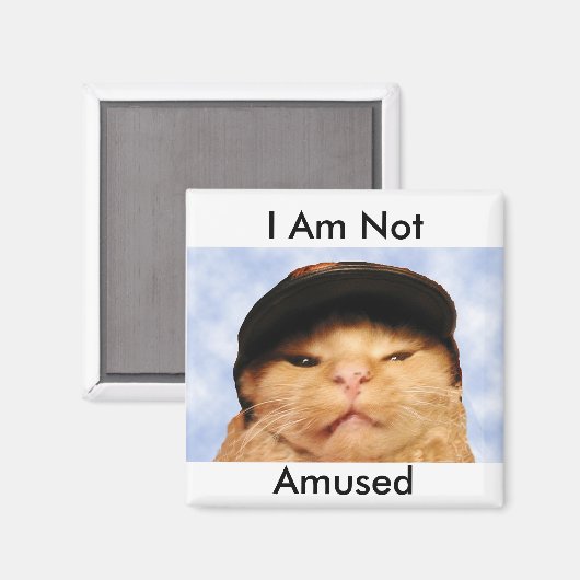 Grumpy Cat Magneet (Voorkant / Achterkant)