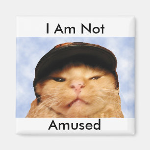 Grumpy Cat Magneet