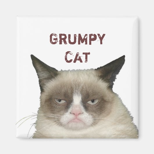 Grumpy Cat Magnet met Tekst (Voorkant)